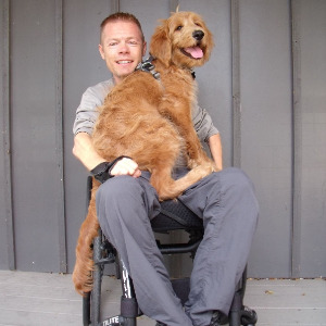 A huge, fluffy golden doodle puppy is spilling off the lap of a man in a wheelchair. Both are smiling.